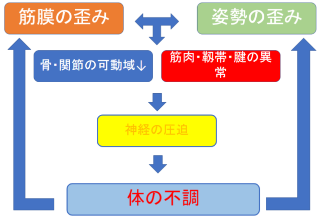 筋膜の歪みと姿勢の悪化が体の不調を招く